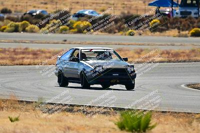 media/Nov-16-2024-Extreme Speed (Sat) [[6587d07cc4]]/Gold Group/Session 2 (Turns 3 and 5)/